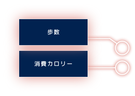 歩数 消費カロリー