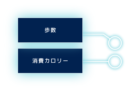 歩数 消費カロリー