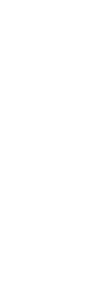 我妻善逸 モデル弍