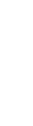 胡蝶しのぶ モデル