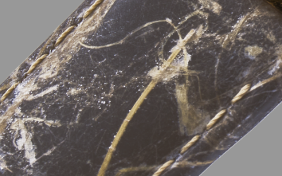 SMS-47-SK-ESの画像